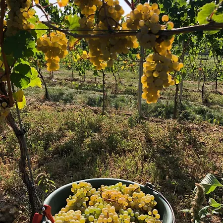 Workers Fuer 4-14 Pers, Parkplatz, Wlan, Einzelbetten