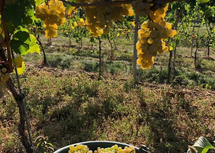 Workers Fuer 4-14 Pers, Parkplatz, Wlan, Einzelbetten